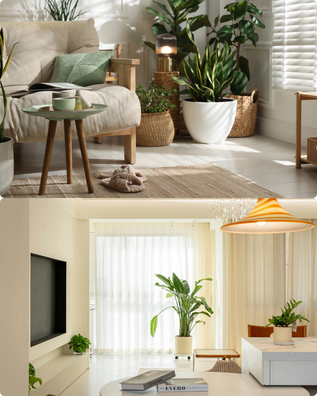 Living room with beige sofa, green pillows, wooden side table with cups, potted plants, and baskets. Bright sunlight streaming in through blinds.