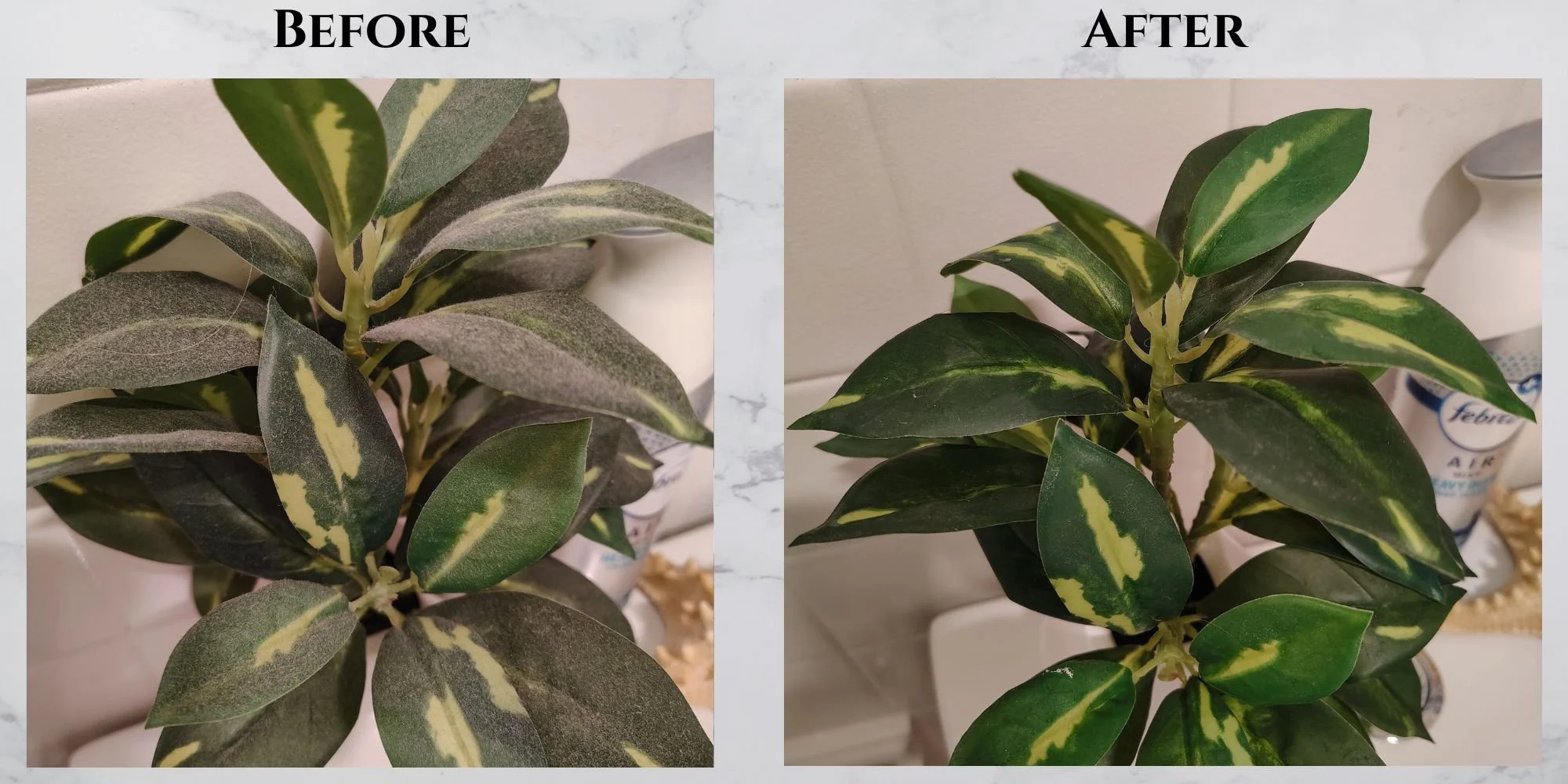 Before & After fake plant with dust.jpg