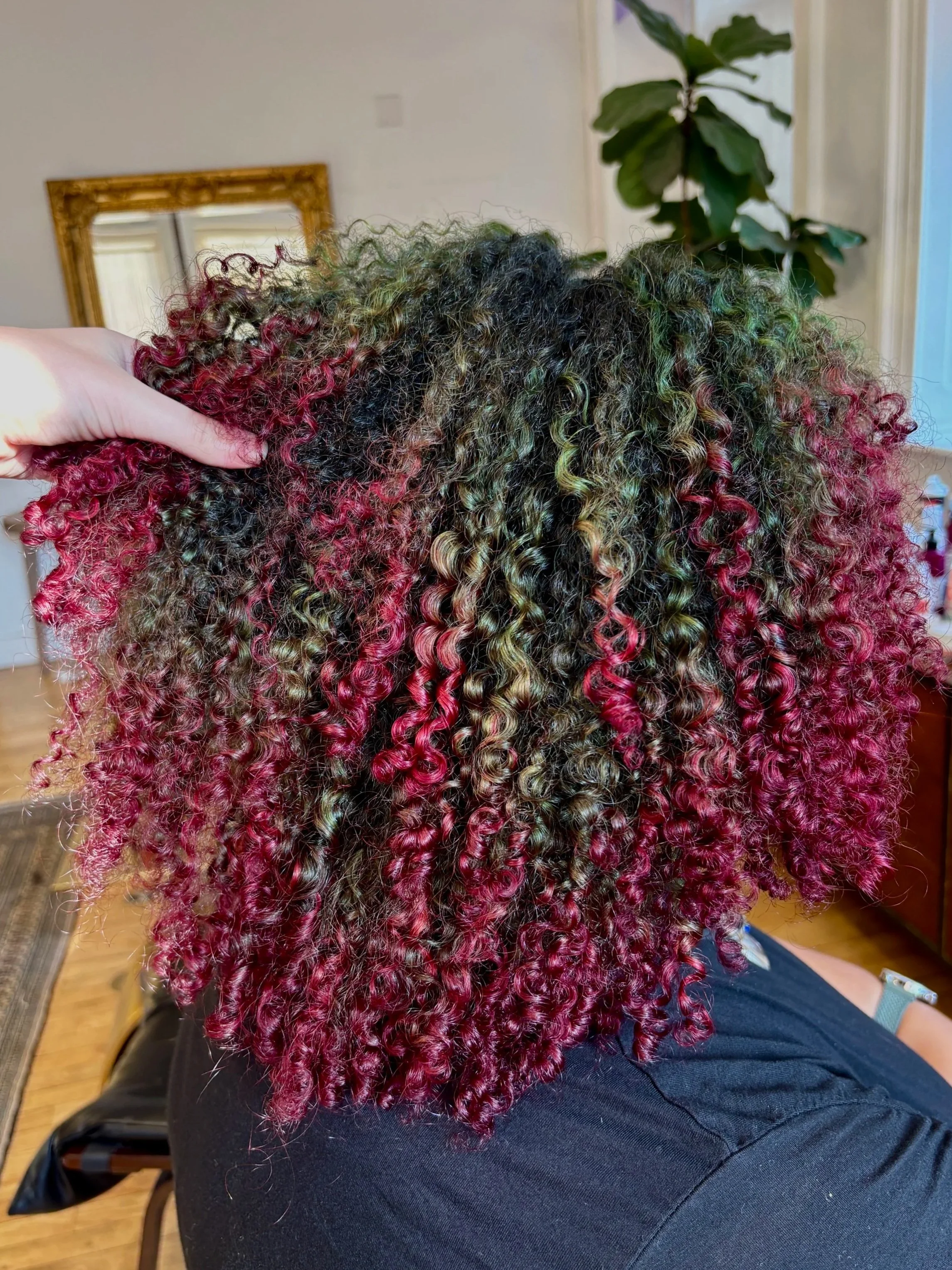 dimensional tight curly hair with greens and pink reds