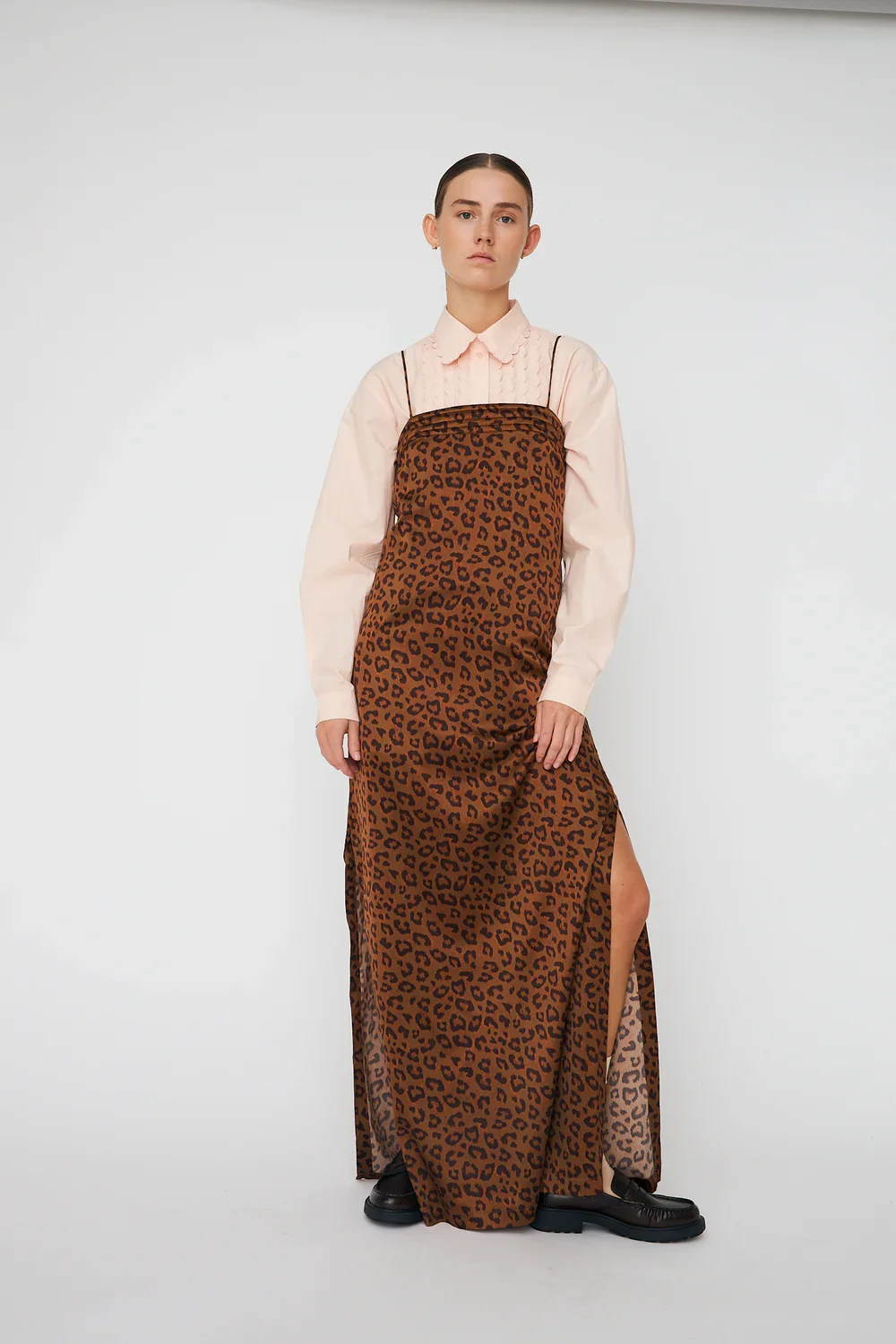 Stella_CC_14904.webp
