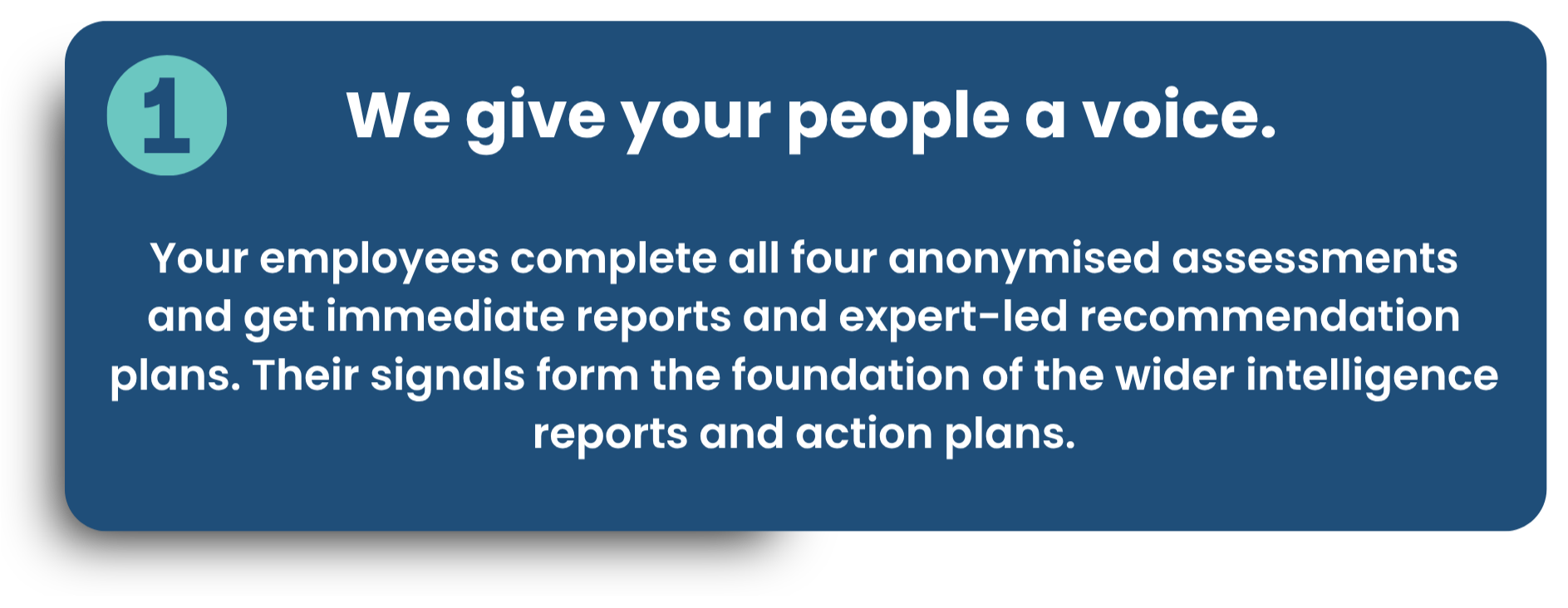 Step one of the cultural performance engine is what we offer employees: We give your people a voice. Description of employee assessments, recommendations, and intelligence reports.