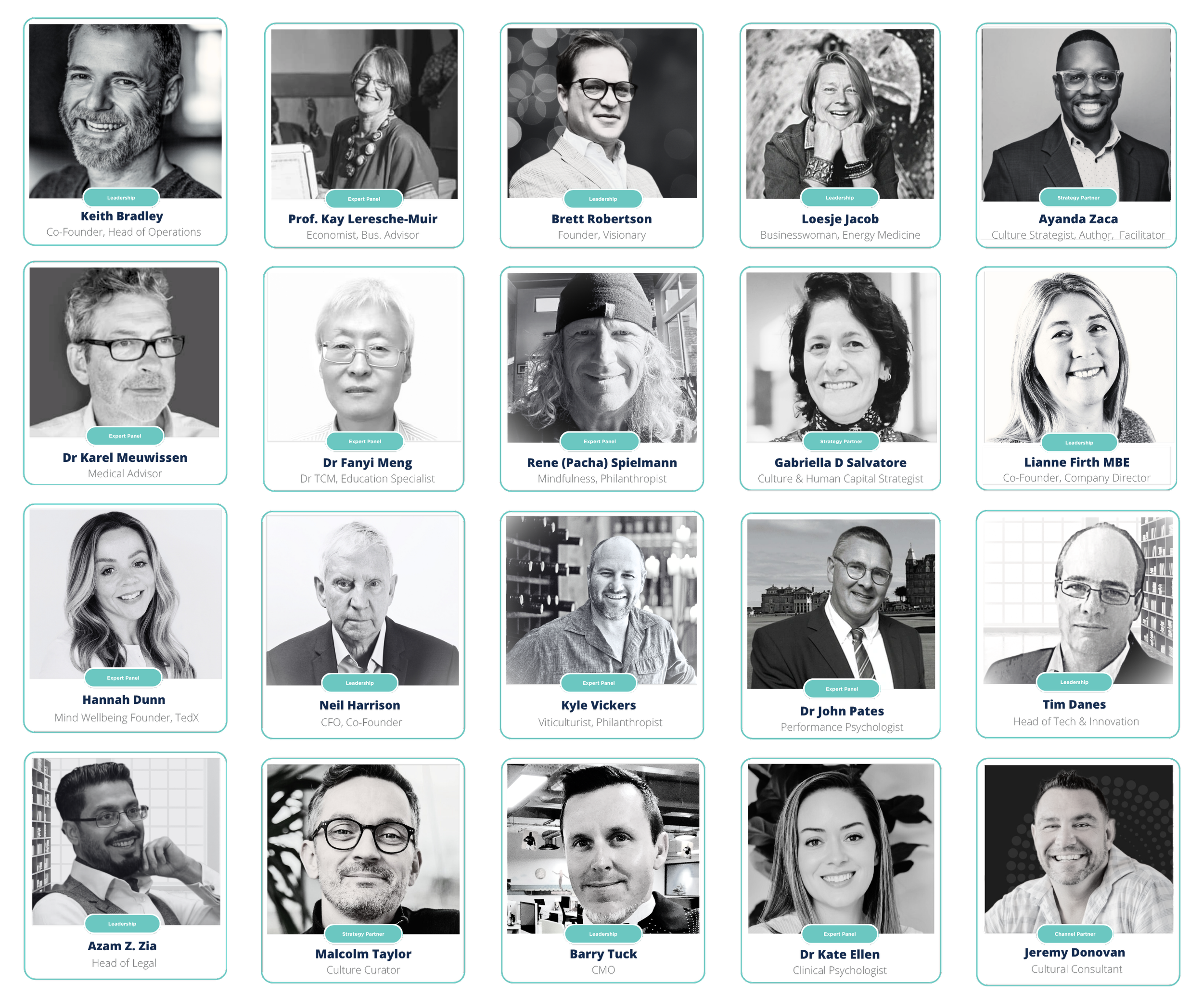 A collage of 20 black-and-white portraits of professional individuals, each with their name, title, and role displayed in a blue banner below. The individuals include leaders, experts, strategists, and advisors in various fields such as healthcare, education, psychology, law, and business, arranged in a 4x5 grid.