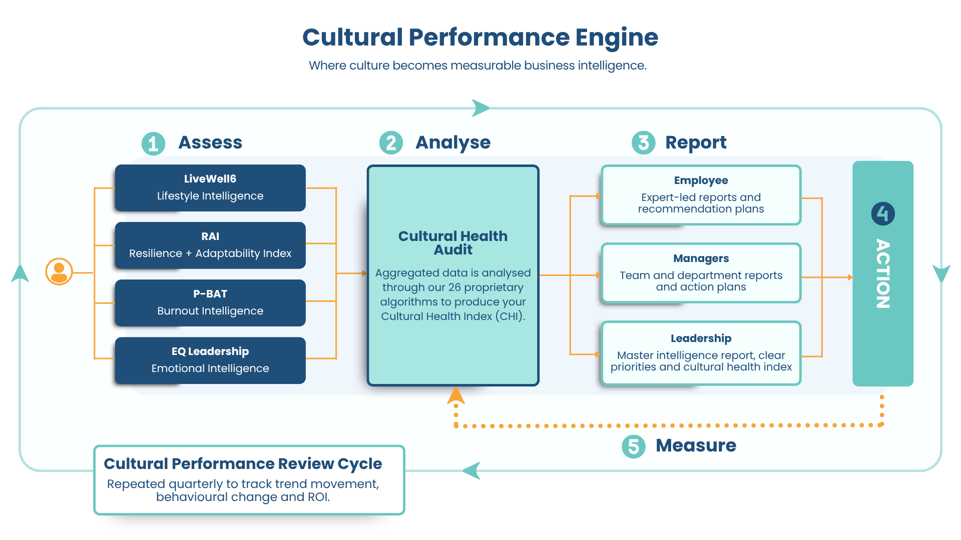 Flowchart titled 'Cultural Performance Engine' illustrating a cycle with five steps: Assess, Analyse, Report, Action, Measure. The Assess step includes tools like LiveWell6, RAI, P-BAT, and EQ Leadership. The Analyse step involves Cultural Health Audit. The Report step includes reports for Employees, Managers, and Leadership. Action follows, then Measure. There is a note about the Cultural Performance Review Cycle, involving quarterly tracking.