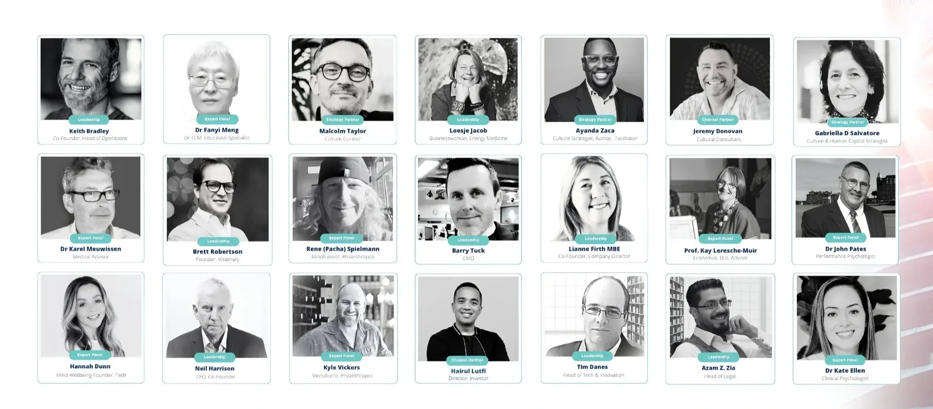 A digital collage of 20 black and white headshot portraits of diverse professionals, each labeled with their name, role, and sometimes their title or expertise. The portraits are arranged in a grid with some labels indicating leadership, expert panel, or strategy partner roles.