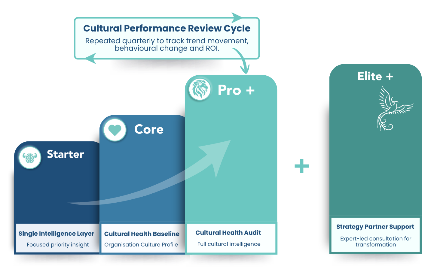 A flowchart illustrating the maturity levels of cultural performance review cycle, starting from Starter, Core, Pro+, and Elite+. Each level includes descriptive text about its focus, such as 'Single Intelligence Layer' at Starter and 'Full cultural intelligence' at Pro+. An arrow indicates progression from one level to the next, with a feedback loop for repeated quarterly reviews to track trends, behavioral change, and ROI.