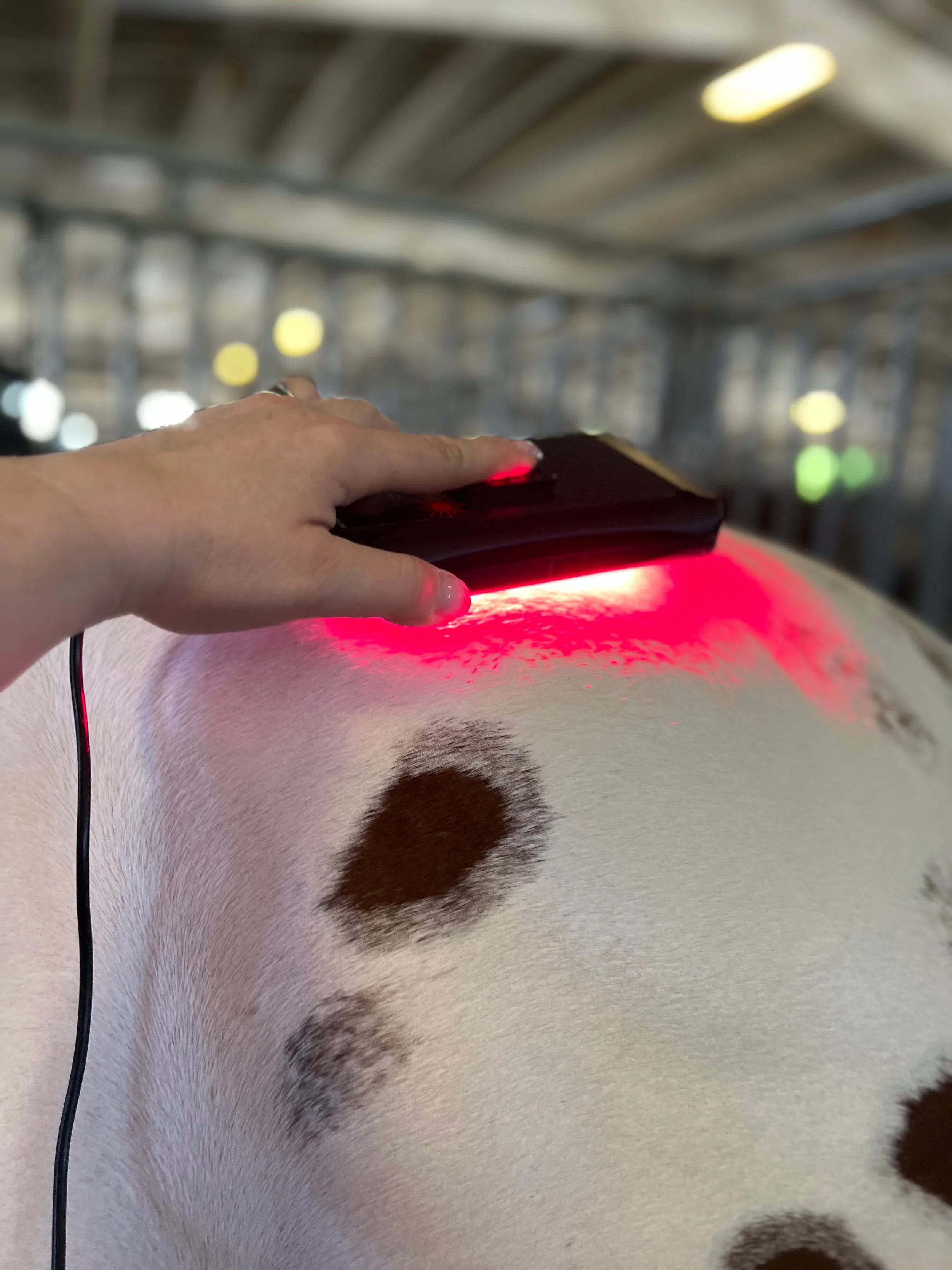 Red light therapy treatment for inflammation and recovery