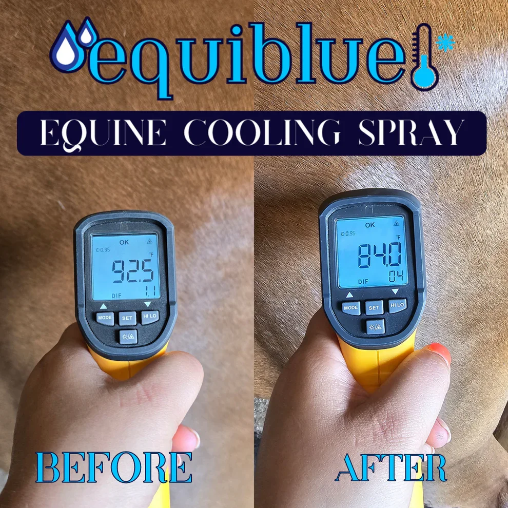 equiblue-before-after.webp