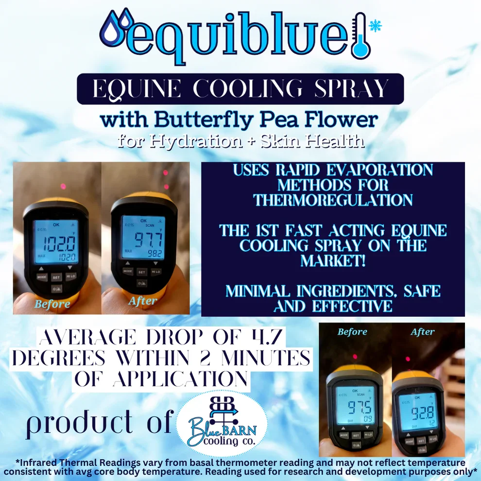 ThermalReadingGraphic_20250129_113353_0000.webp