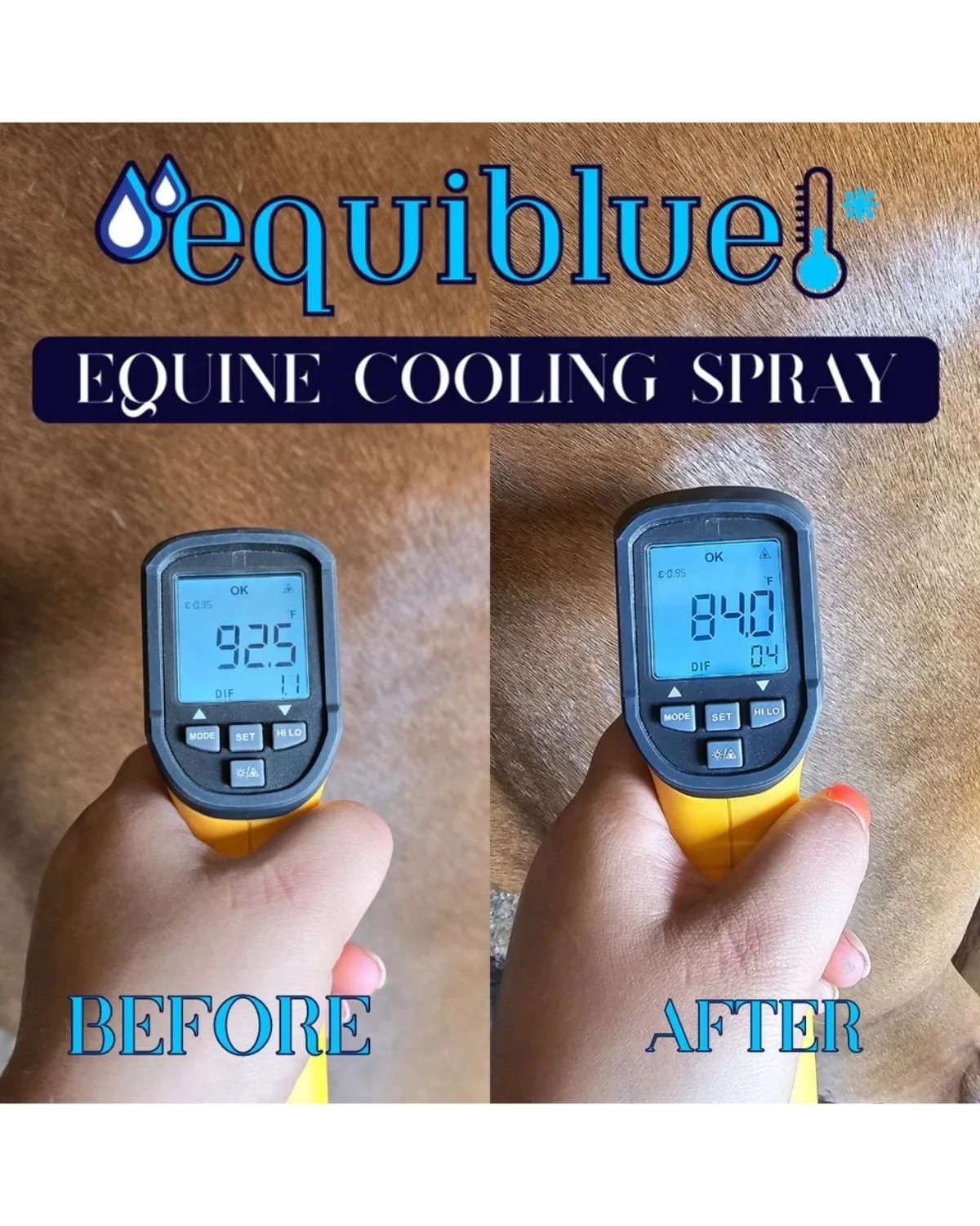 Equiblue before and after.jpg