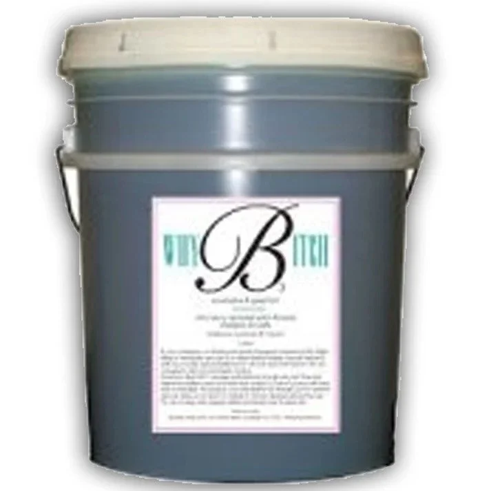 B3Pro401-5-Gallon-Bucket-WPump.jpg
