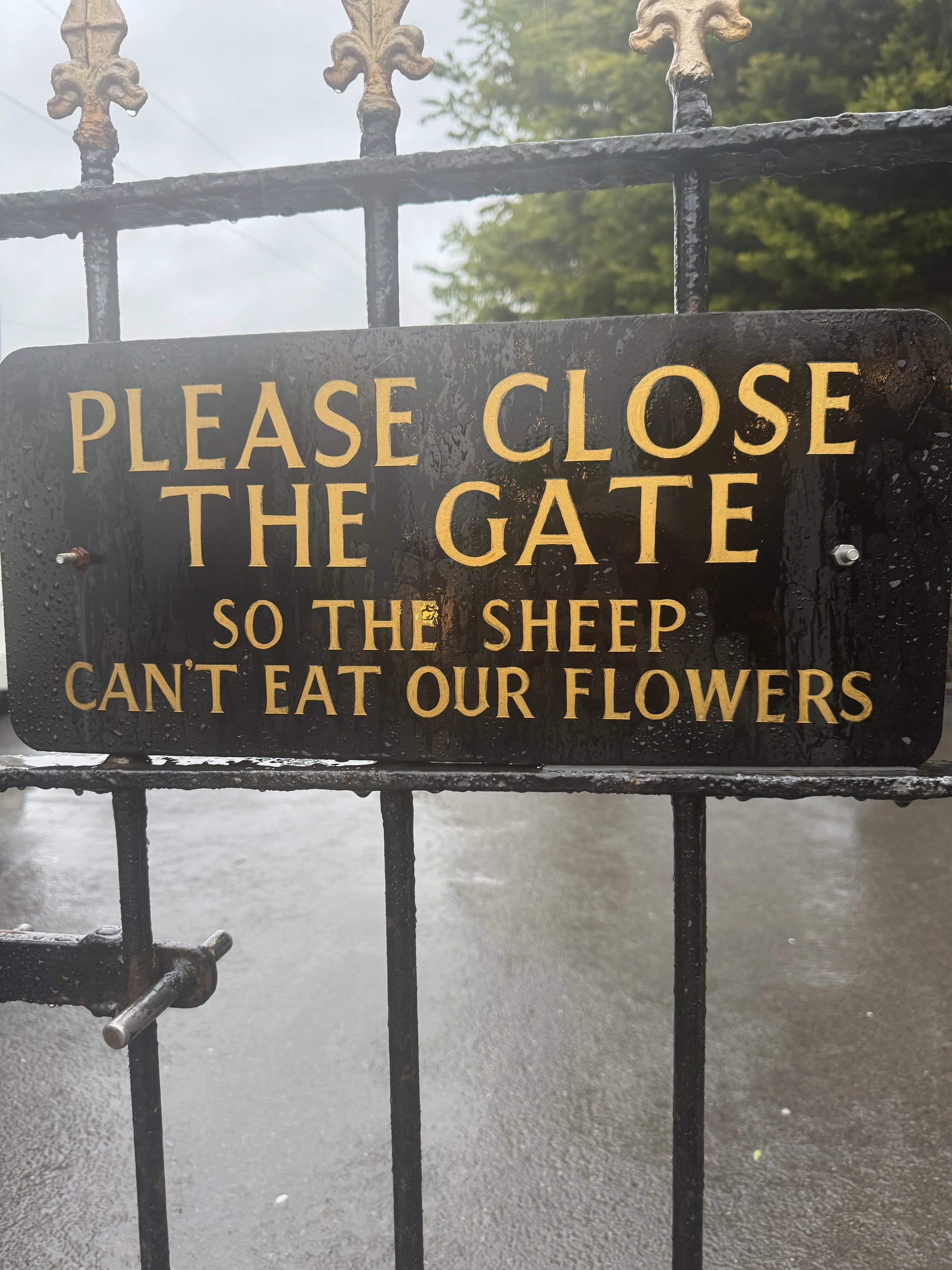 IMG_0766.jpeg
