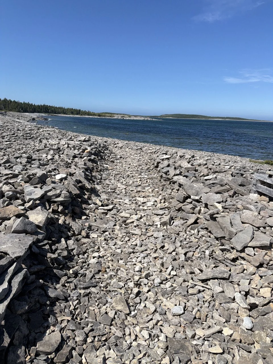 Bird Cove.jpg
