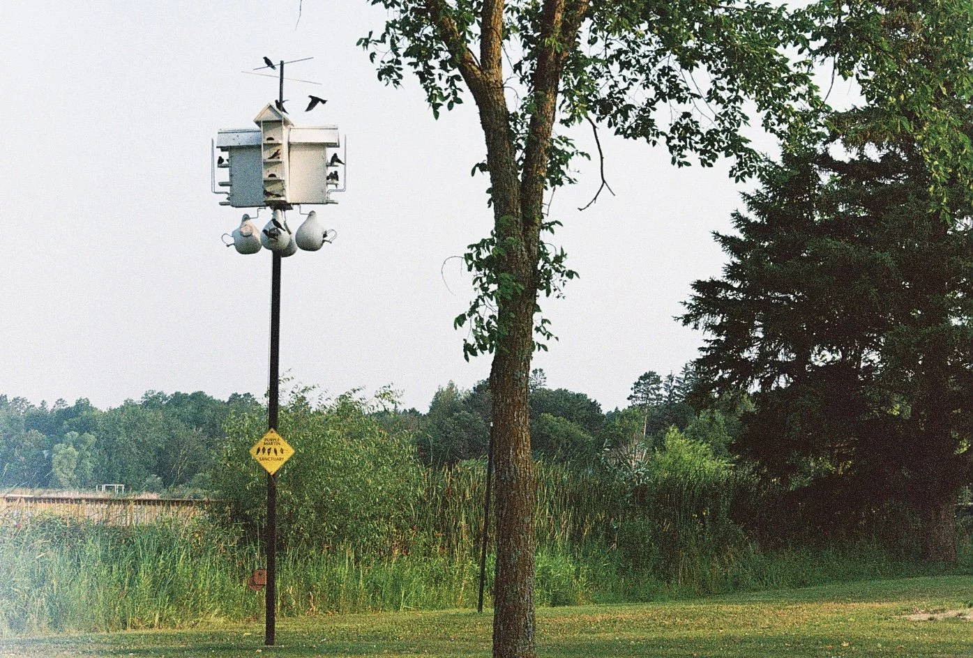 Minnesota, USA - 35mm