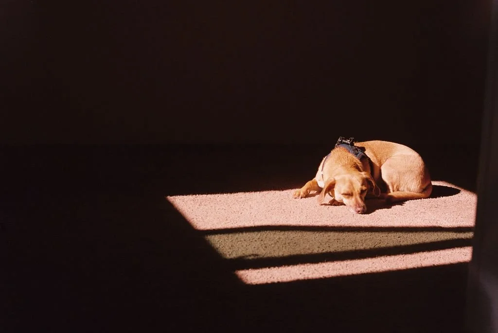 Tacoma, Washington, USA - 35mm