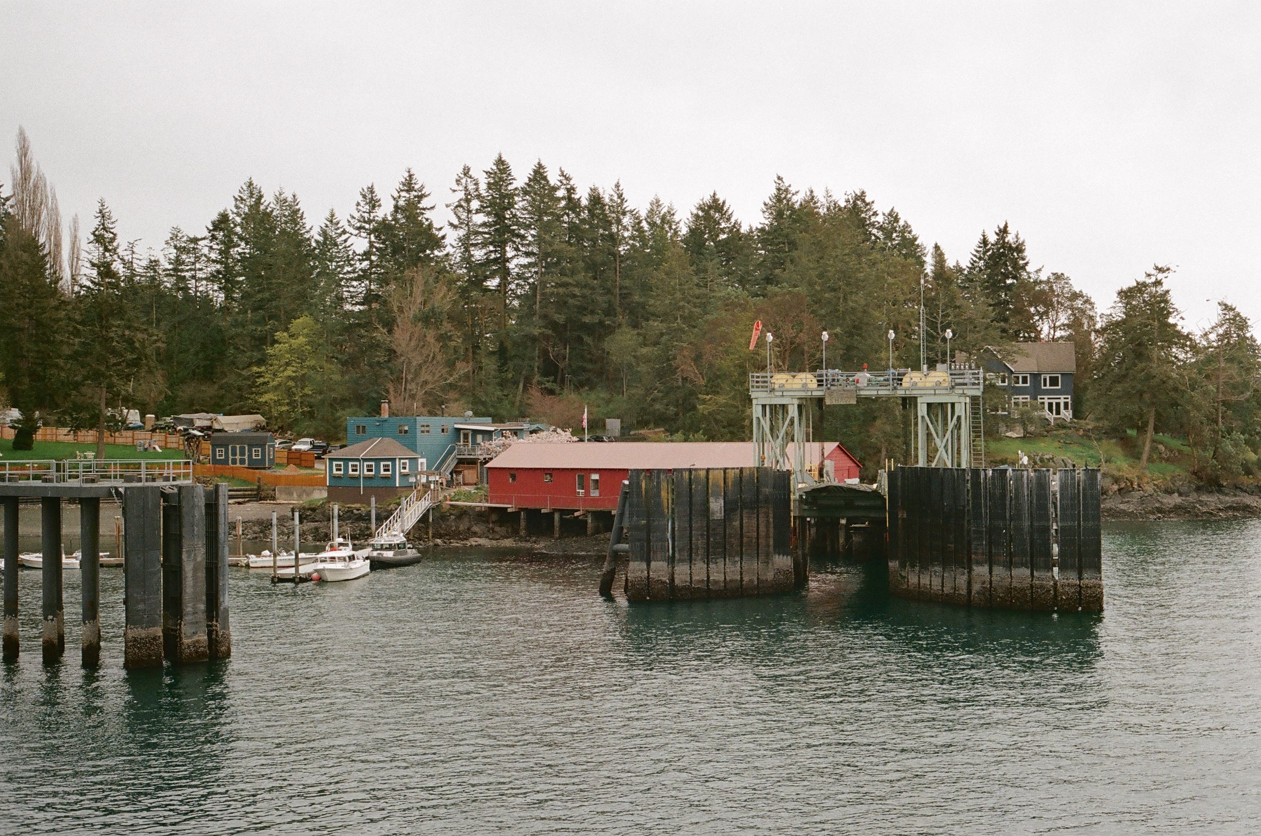 Lopez Island, Washington, USA -- 35mm