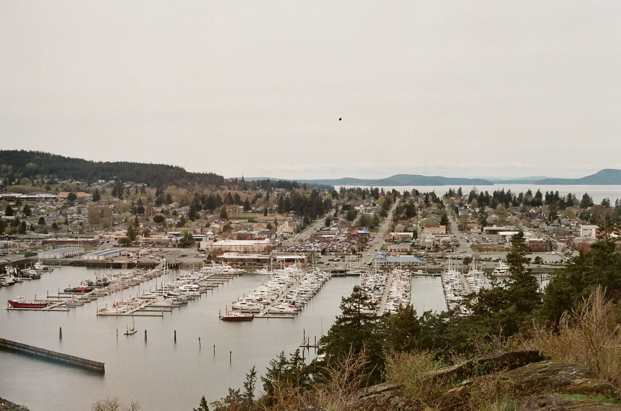 Anacortes, Washington, USA -- 35mm