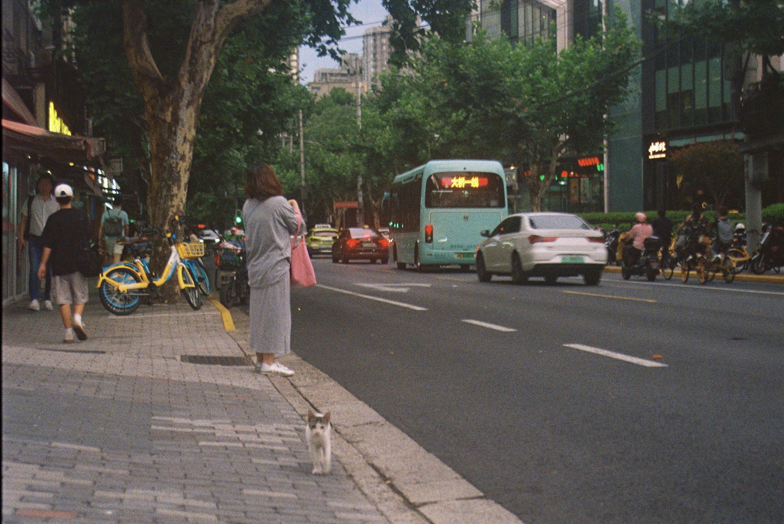Shanghai, China - 35mm