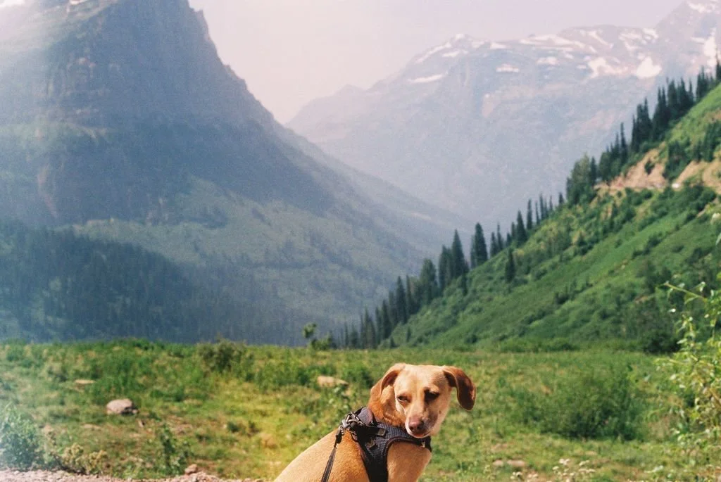 Glacier National Park, Montana, USA - 35 mm