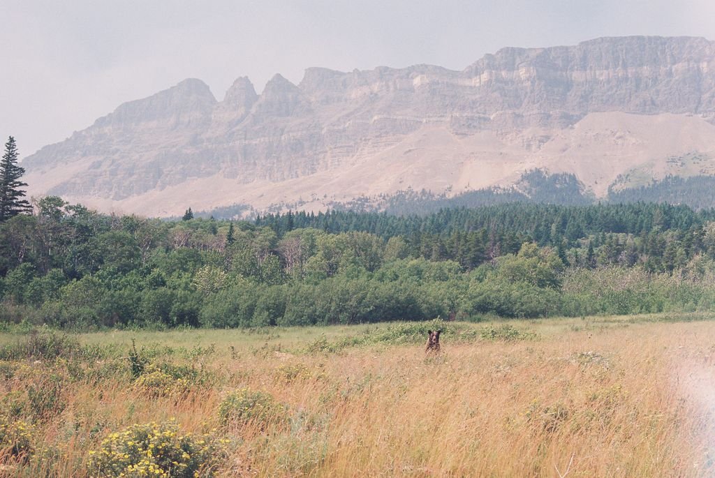 Glacier National Park, Montana, USA - 35mm