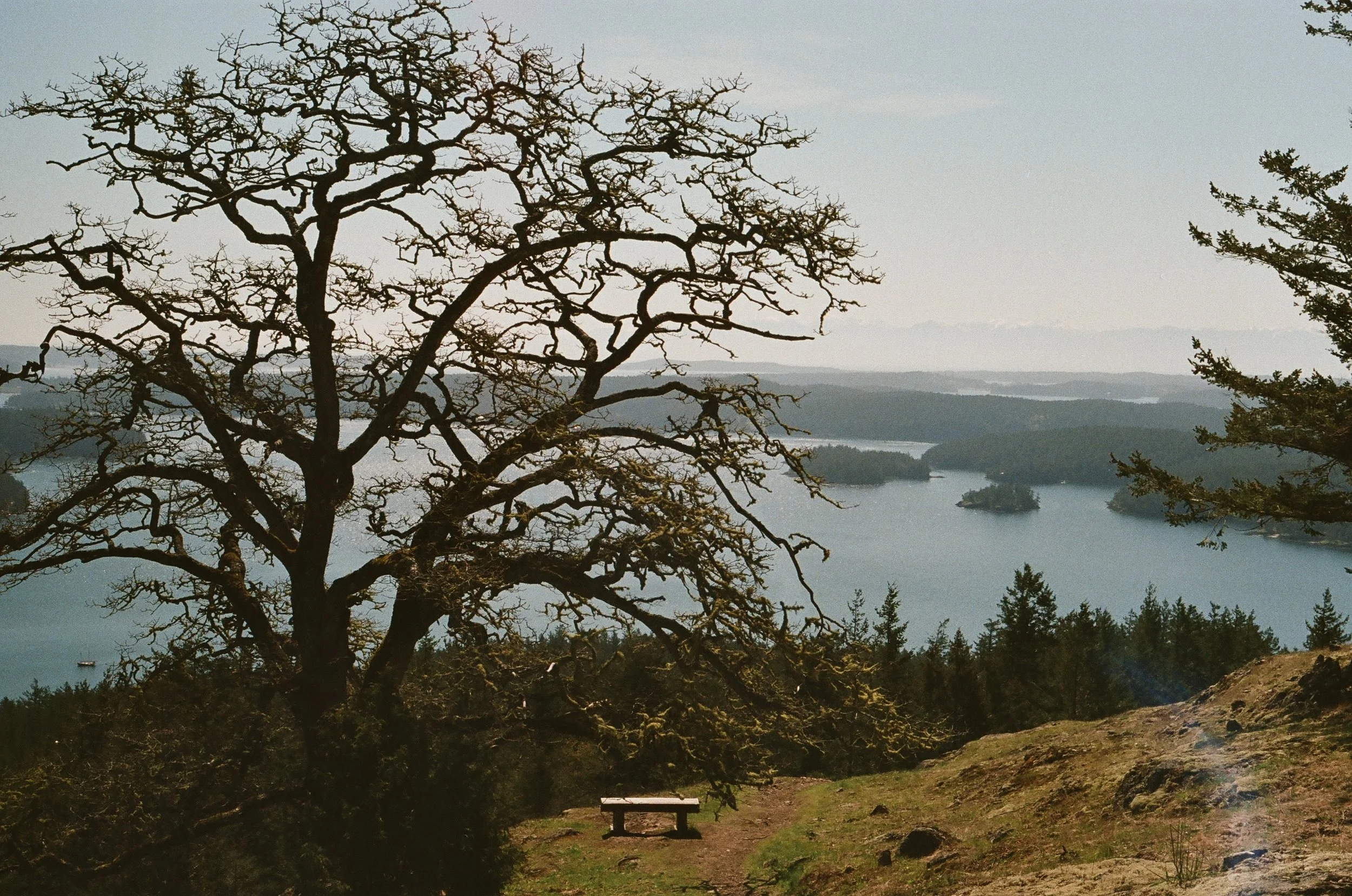 Orcas Island, Washington, USA -- 35mm