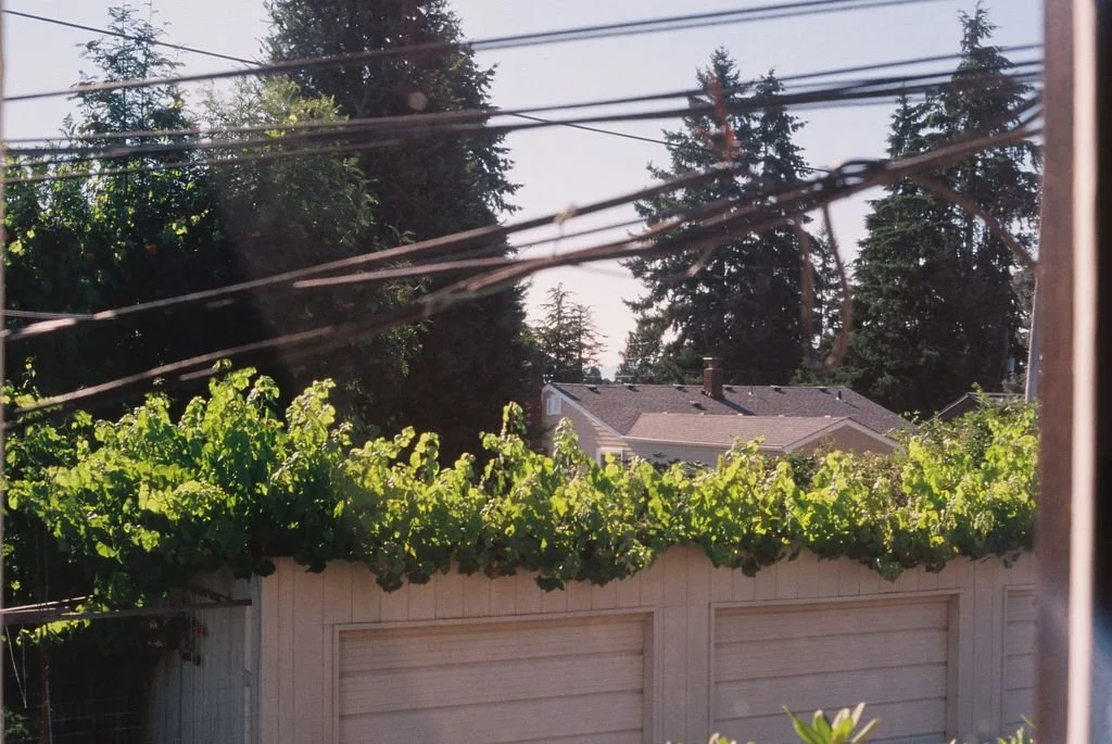 Tacoma, Washington, USA - 35mm