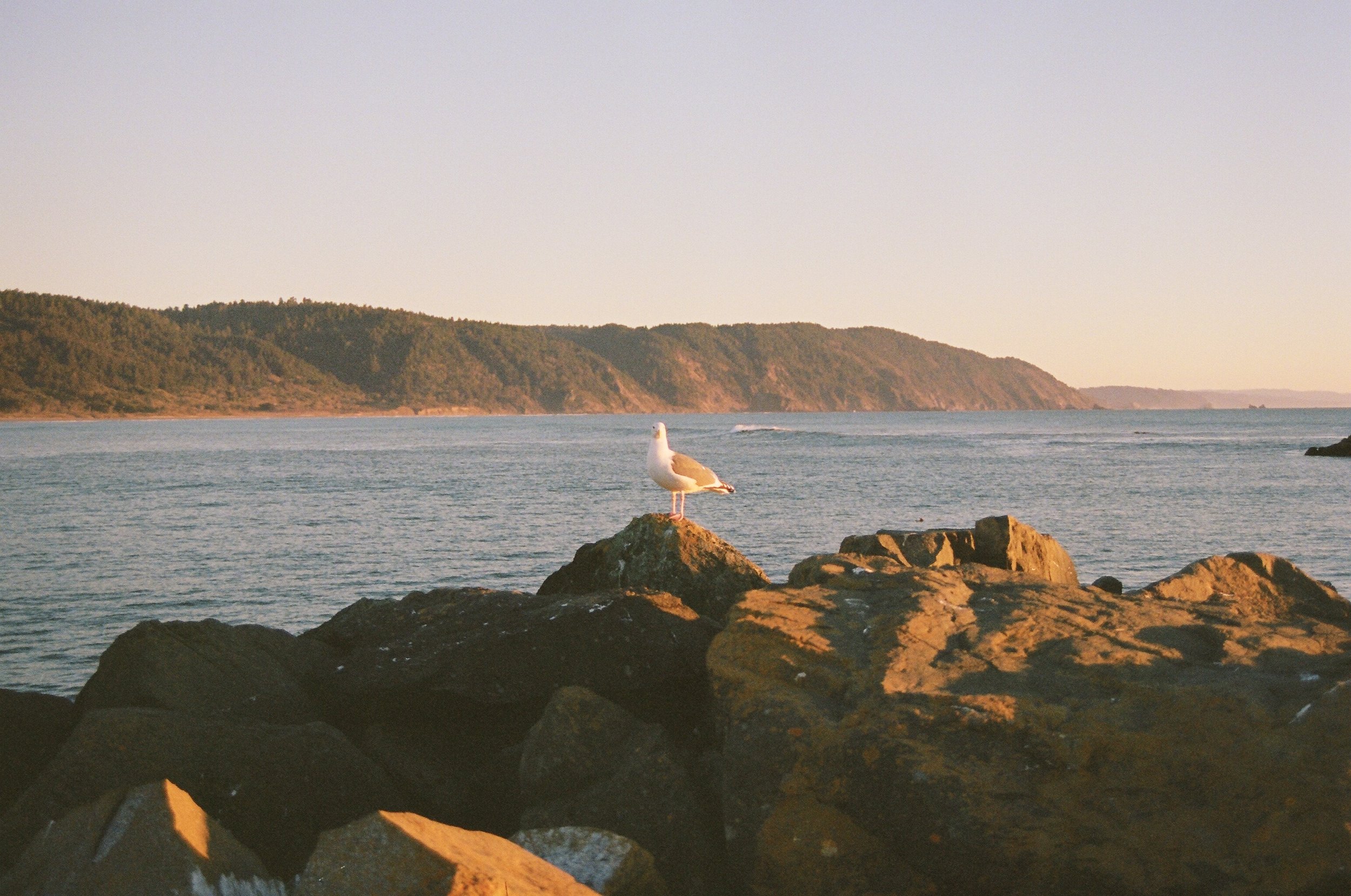 Crescent City, California, USA, 35mm