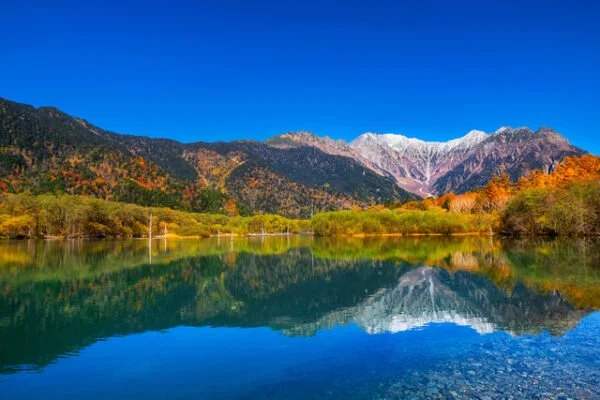 A scenic landscape featuring a calm lake reflecting colorful autumn trees and snow-capped mountains under a clear blue sky.