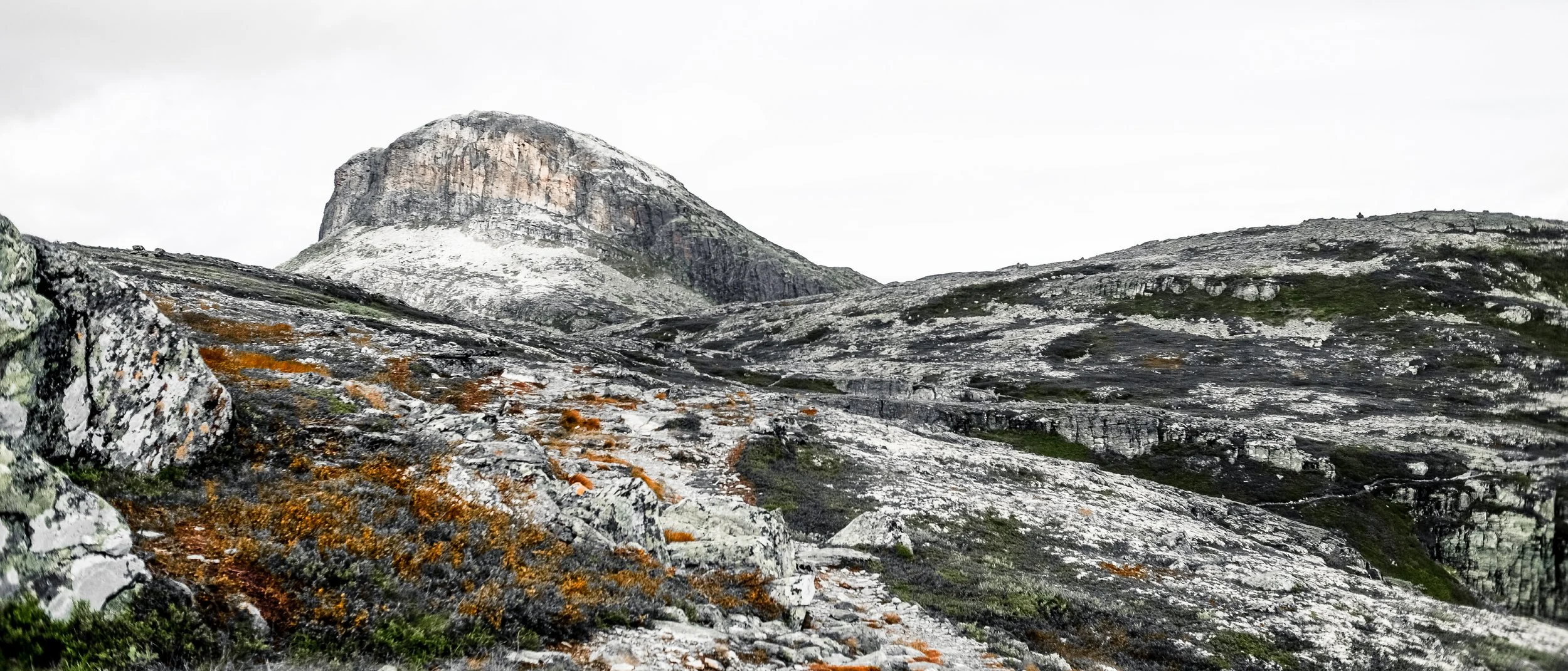 LucaMalzer_Photography-1 (2).jpg
