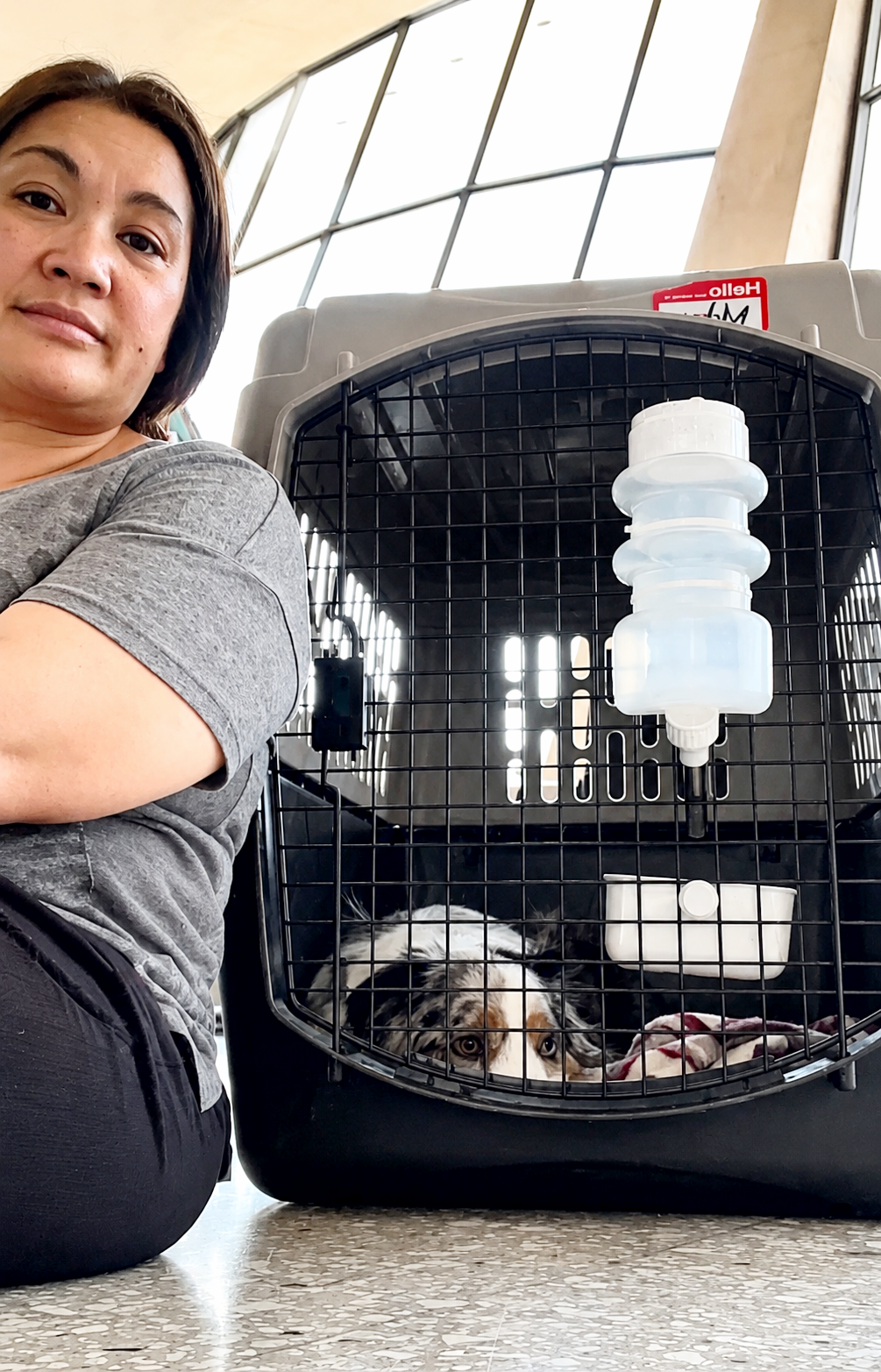 A woman in a flight attendant uniform offers a cup to a man sitting next to a cat in a pet carrier on an airplane.