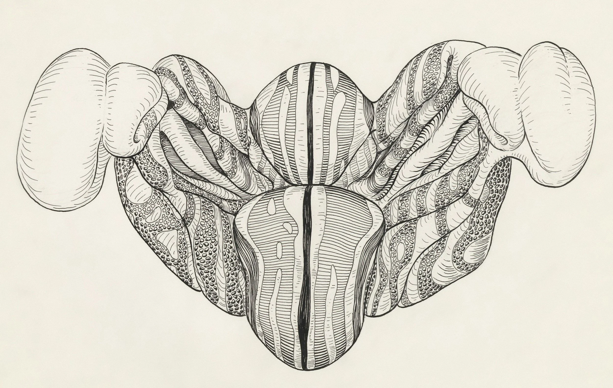 Black and white line drawing of an elephant's head with intricate patterns and details.