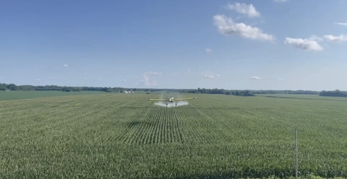 Insecticide Application