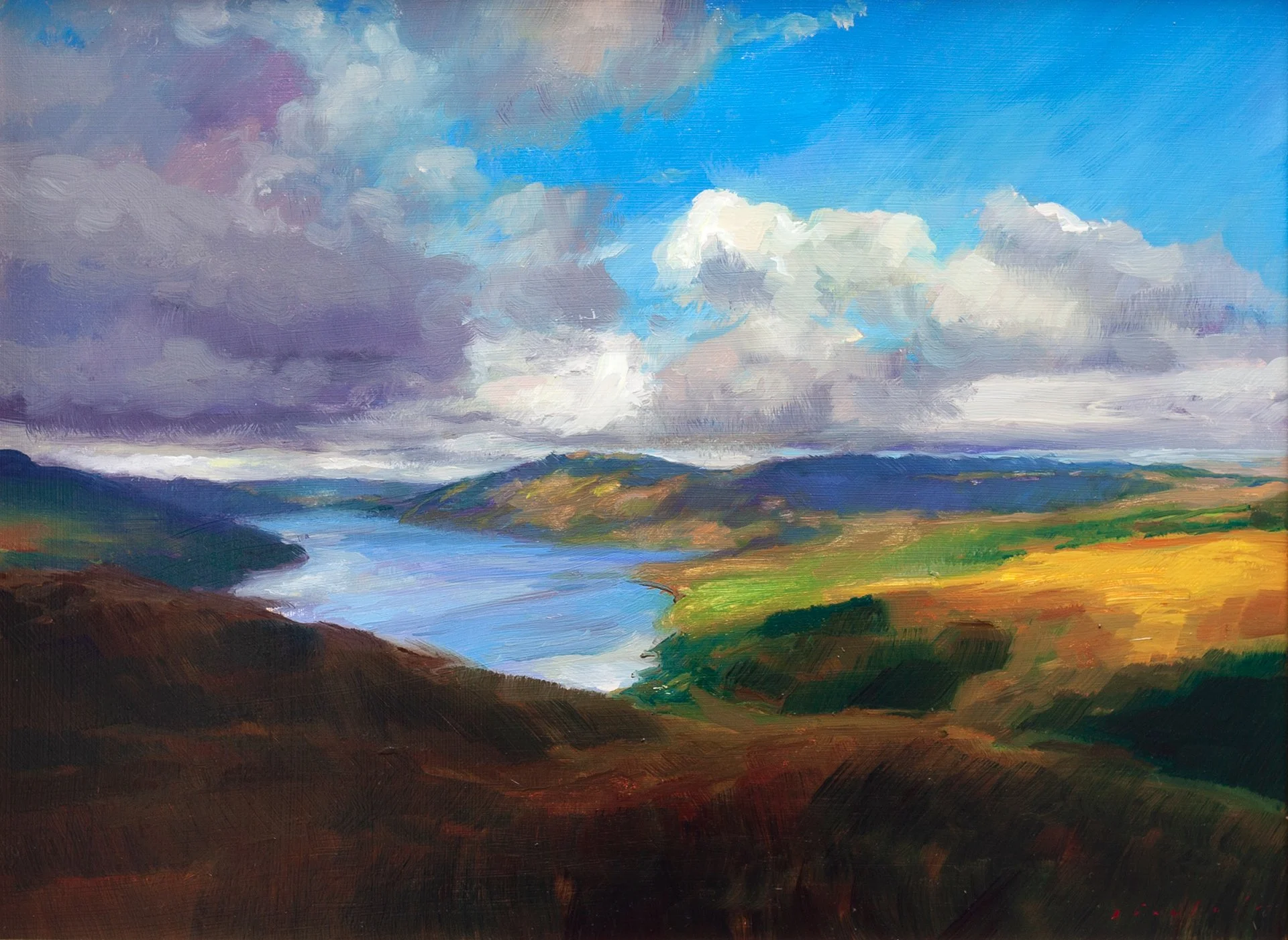 andrew-sinclair,-passing-shadows-over-ardnamurchan,-oil-on-board,-30-x-40-cm,-cropped-1920px.jpg