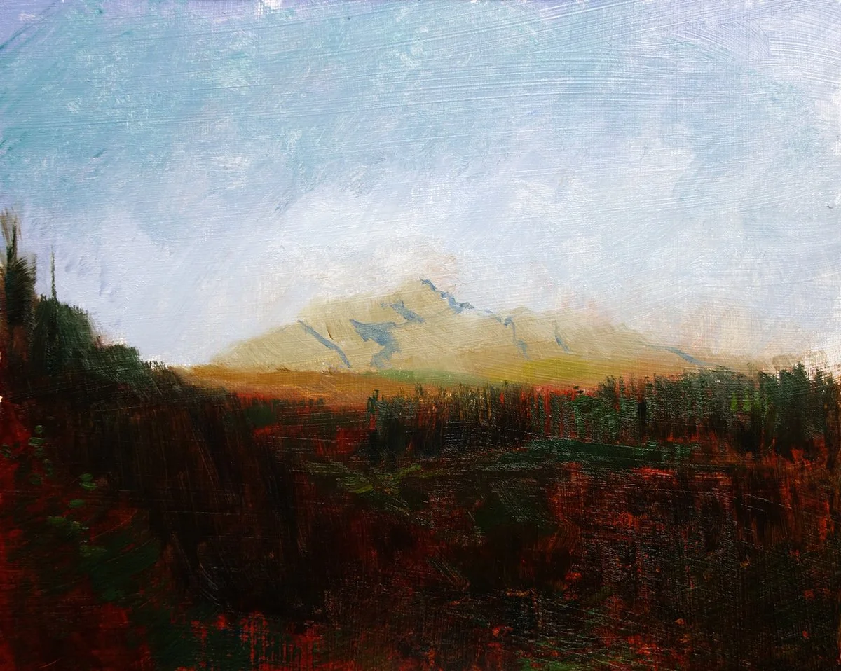 2beinn-resipol-from-the-bay-of-flies-oil-on-board-20-x-25-cm SOLD.jpg