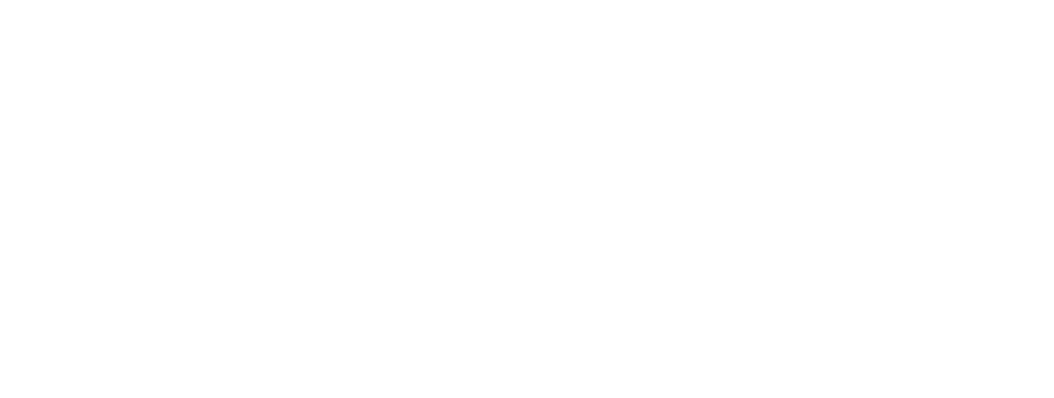 Logo for Bulverde Spring Branch Area Chamber of Commerce, featuring a tree, a sun, and text that reads 'Est 1995'.