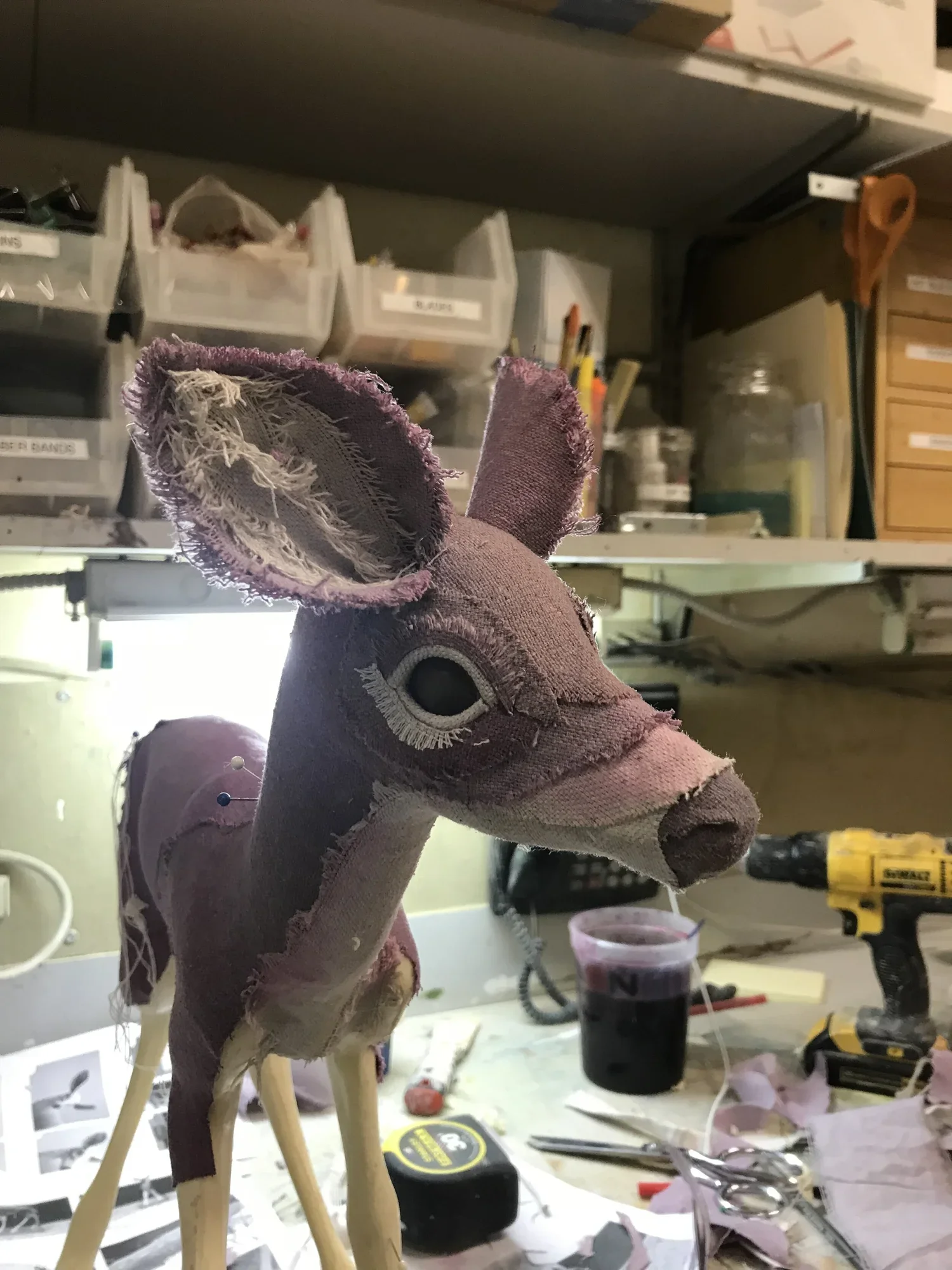 baby+deer.webp