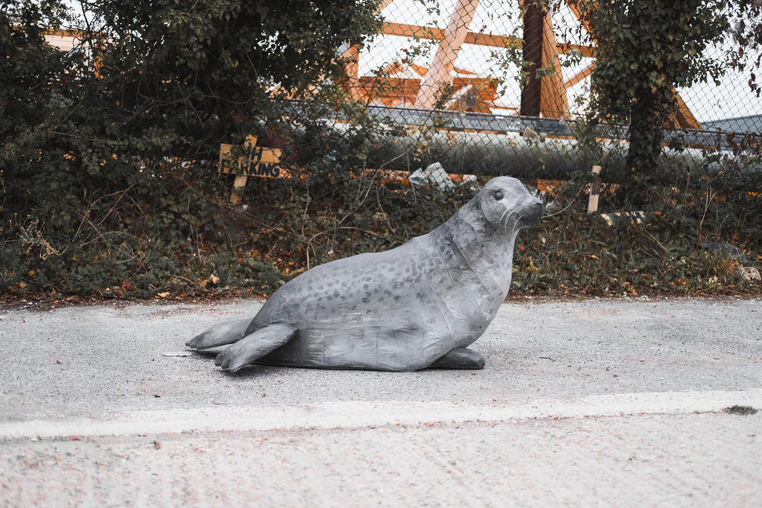 A real-looking gray sculpture of a sea otter on the ground, with a chain-link fence, bushes, and part of a construction site or playground in the background.