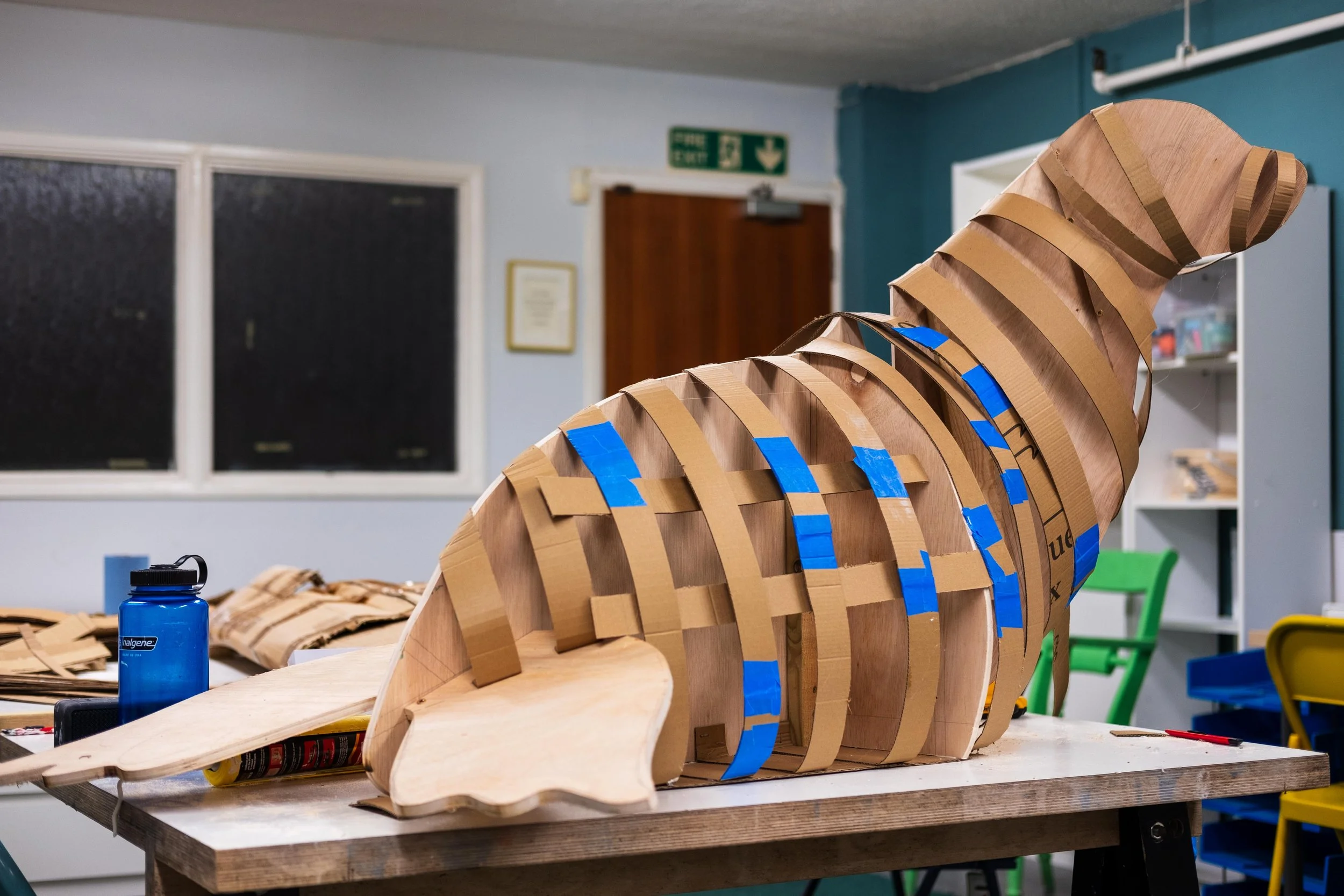 Breena Farrelly Props & Displays - Wooden sculpture in progress of a large animal - seal, made of curved wooden slats taped together on a work table in a workshop.