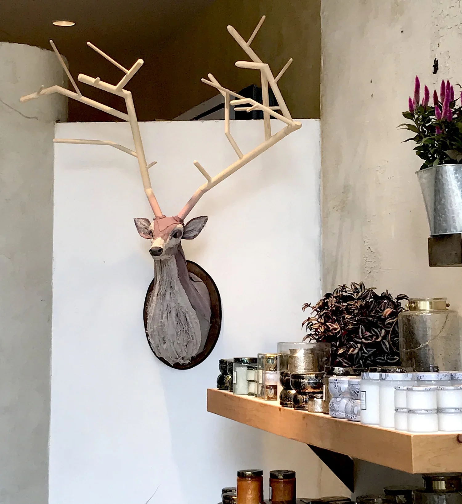 deer+on+wall+use.webp