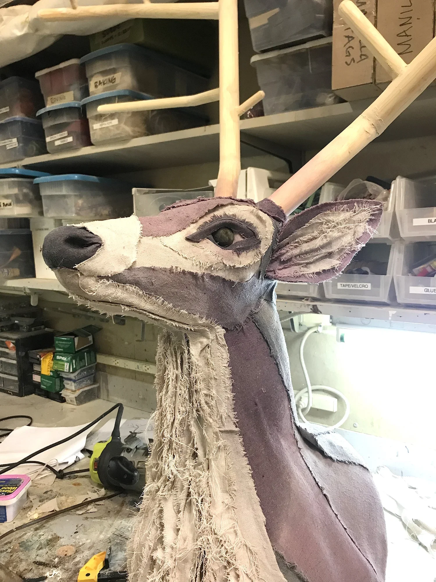 deer+in+progress+close+up.webp