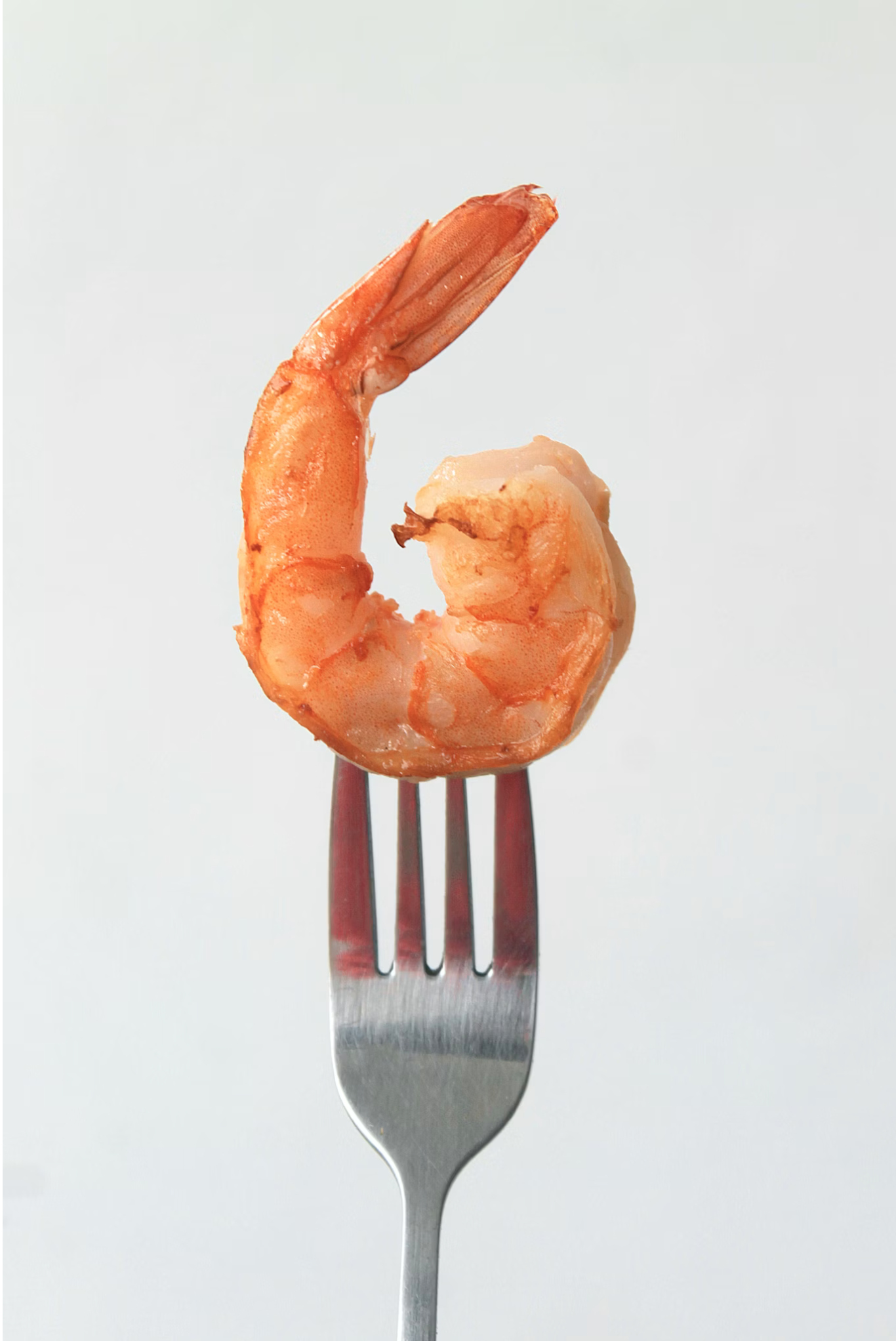 A fork holding a cooked shrimp against a plain white background.