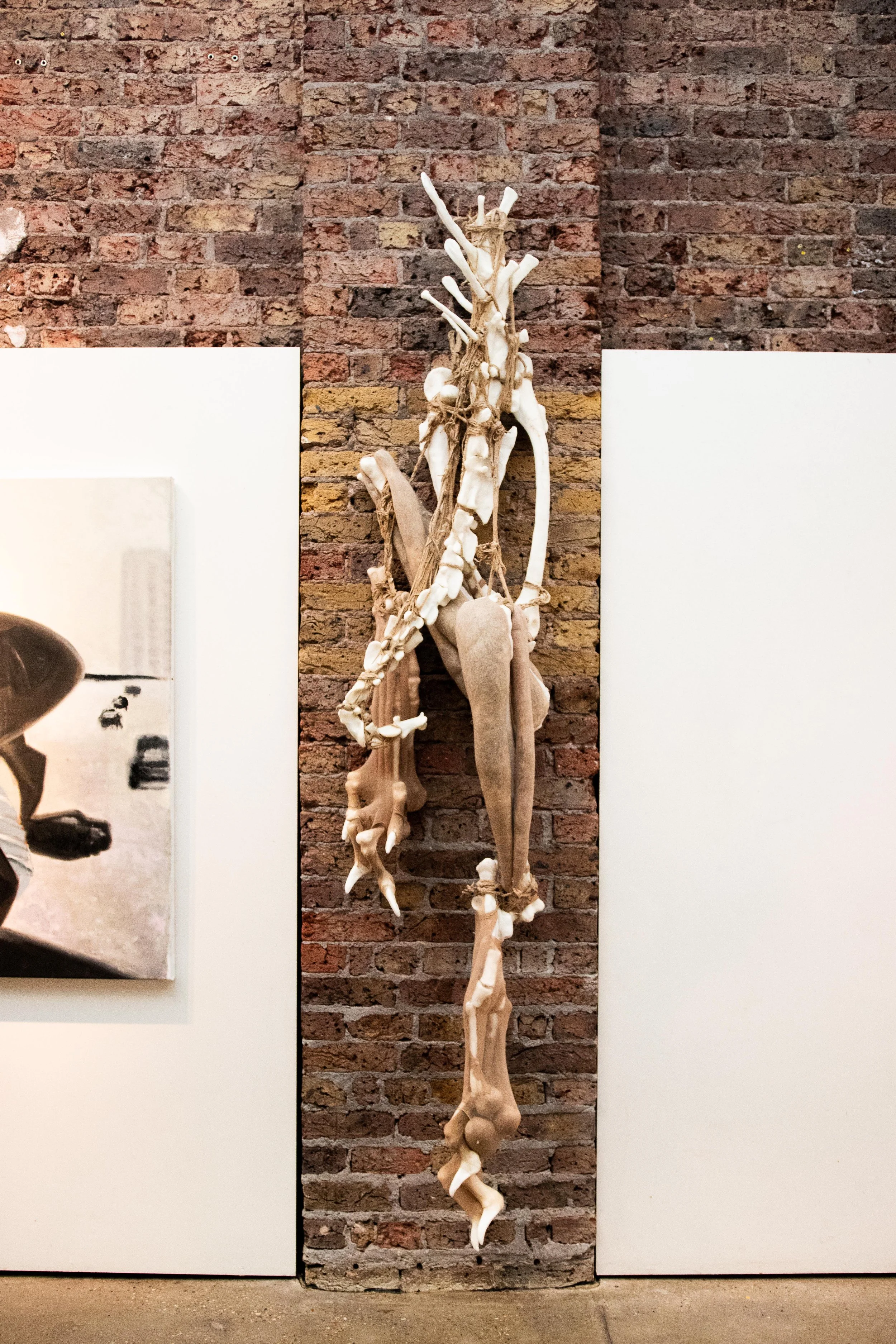 IMG_9061 copy(lowres).jpg