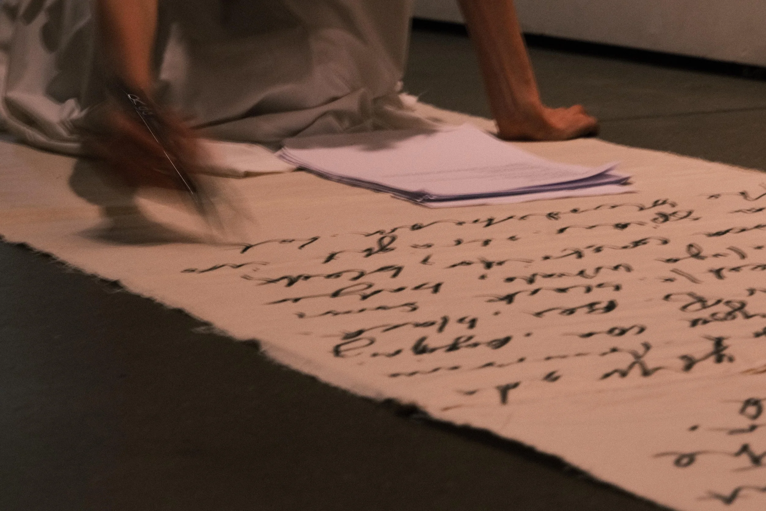 DSCF0775 copy(lowres).jpg