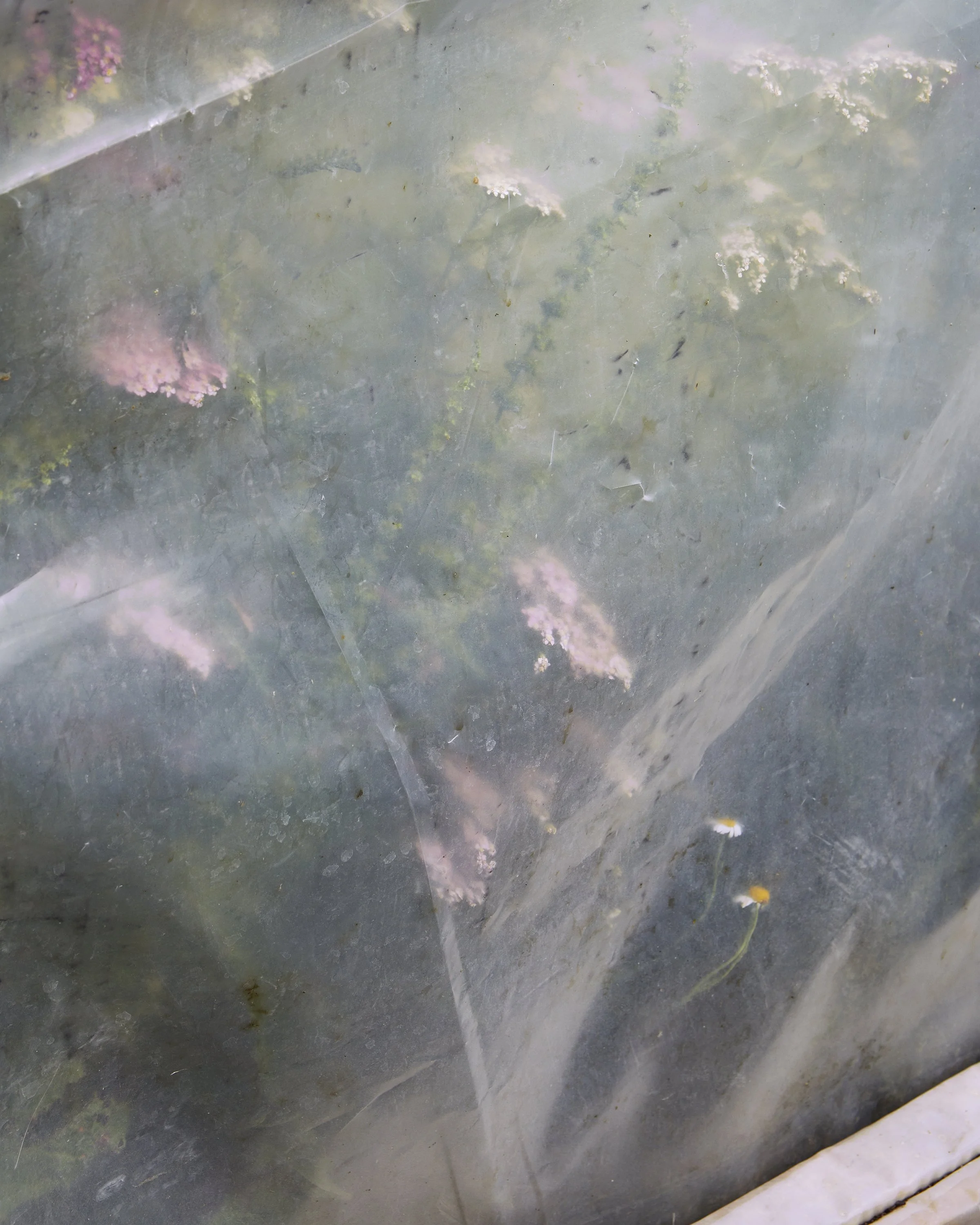 StudioRansome_OrganicOpulence__1039 .jpg