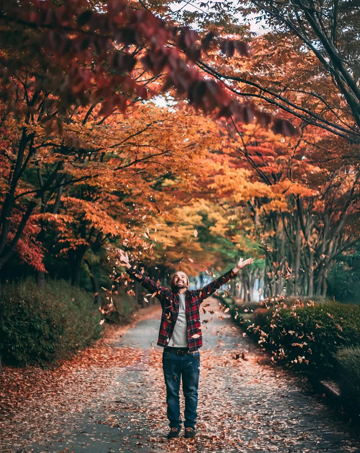 Un homme joyeux avec ses bras ouverts dans une allée bordée d'arbres aux feuilles d'automne