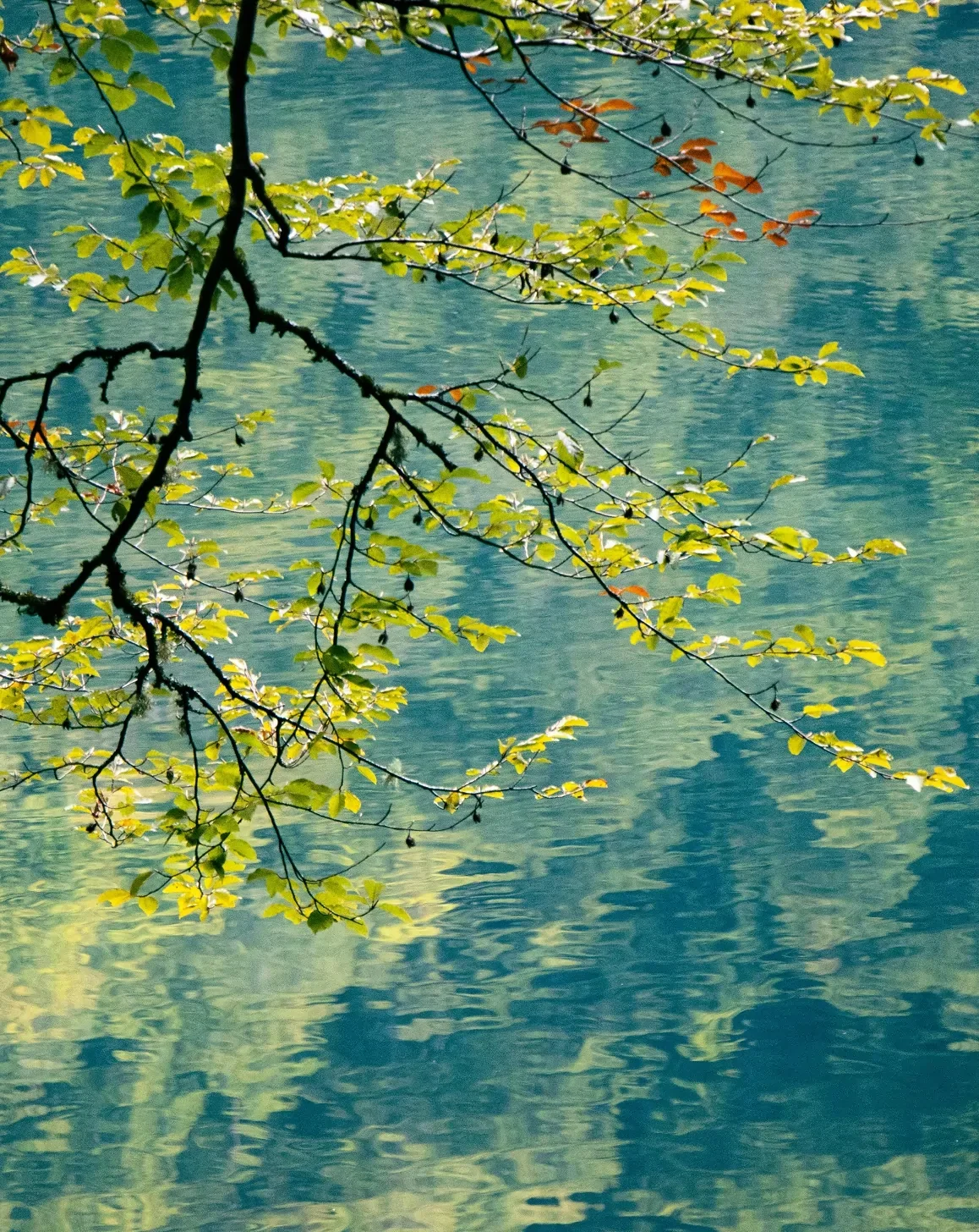 Lac de Bethmale en Ariège