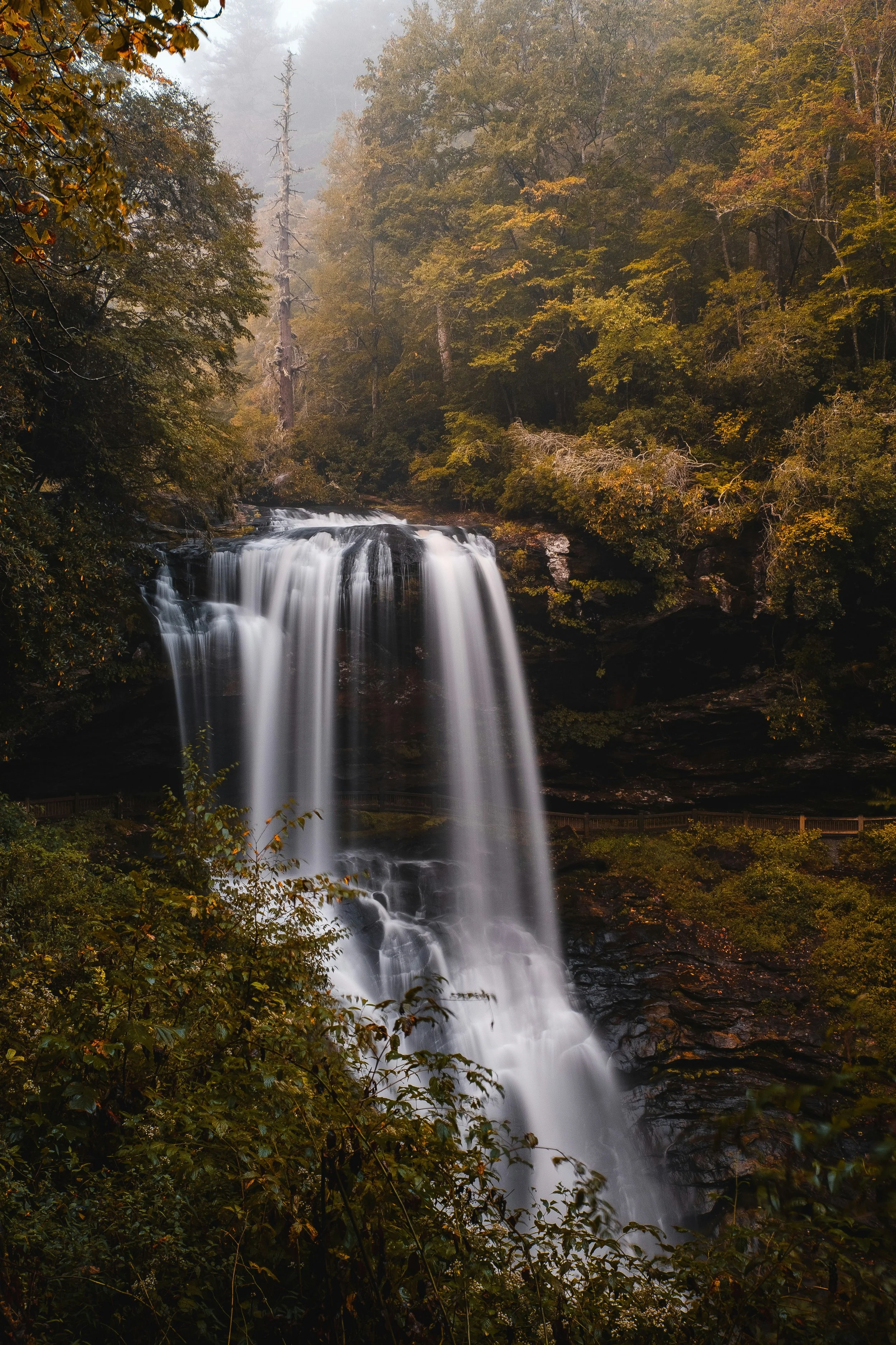 joshua-herrera-rIWB-pBW4b0-unsplash.jpg