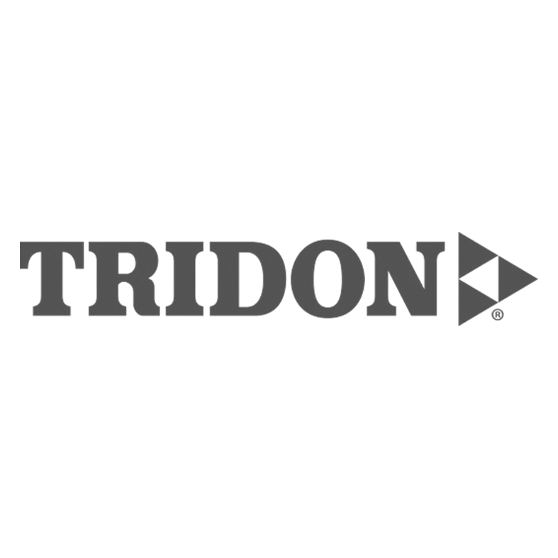 Black and white image with a pirate skull and crossbones at the top, the word 'TRUDON' in bold uppercase letters across the bottom.