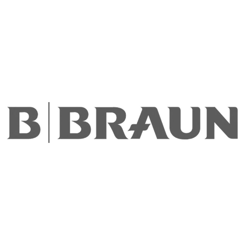 Black and gray logo with the words 'The Braunschweig' and the silhouette of a lion above it.