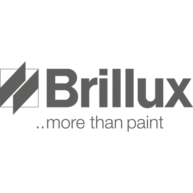 Logo of Brillux with the tagline "more than paint"