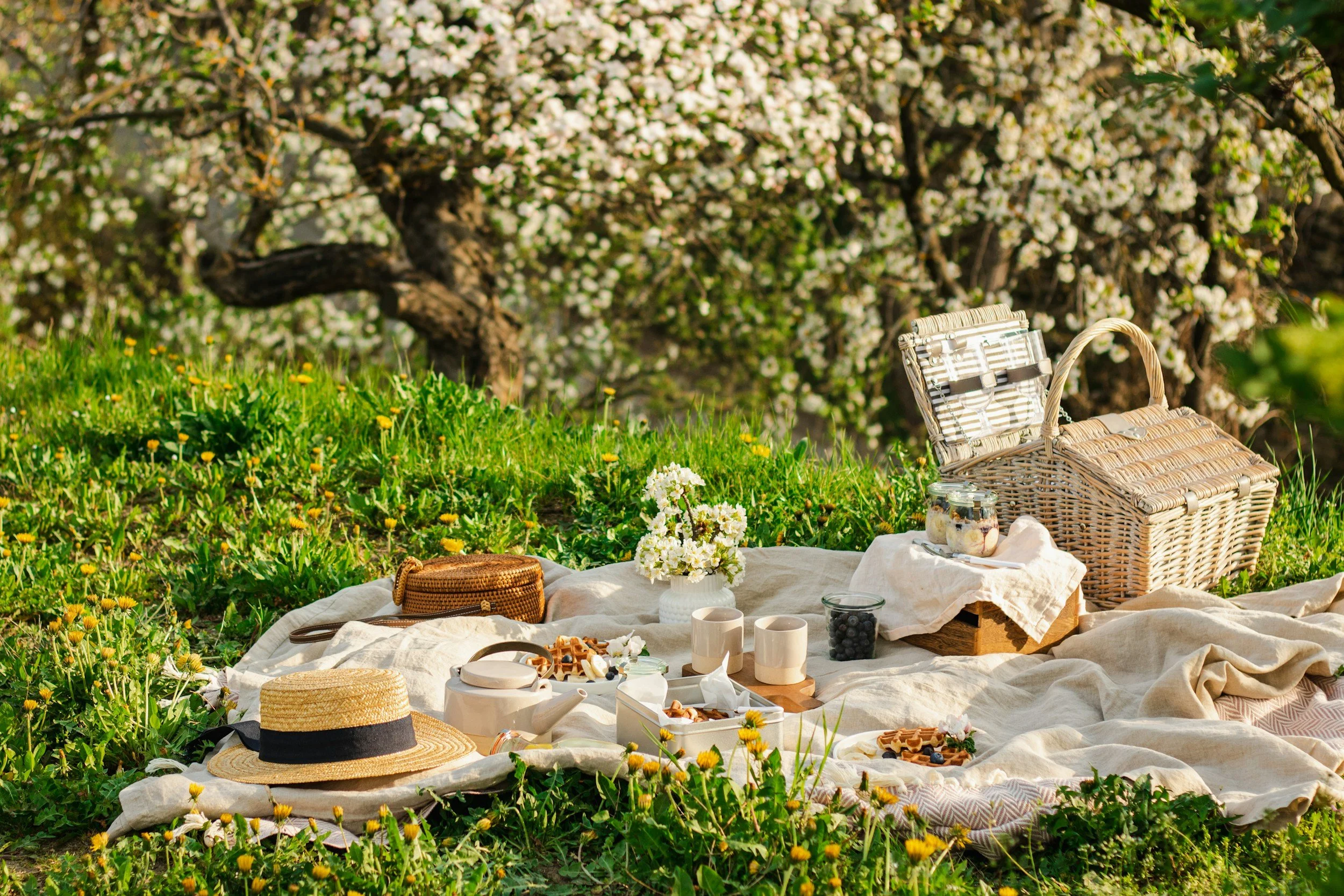 A picnic setup in a grassy area with blooming trees in the background. There is a beige blanket on the ground with food, drinks, and picnic baskets, including a wicker basket with a handle. Items such as cups, plates, and jars of blueberries are visible, along with a straw hat and a woven bag.